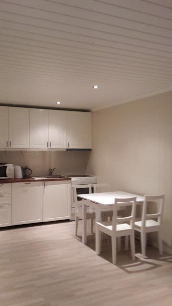 Odlandsvegen Basement Apartment Roldal Bagian luar foto