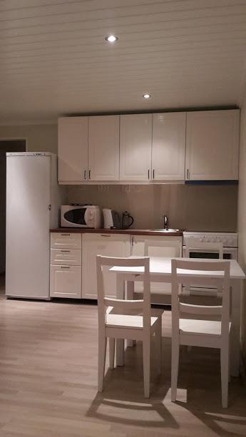 Odlandsvegen Basement Apartment Roldal Bagian luar foto