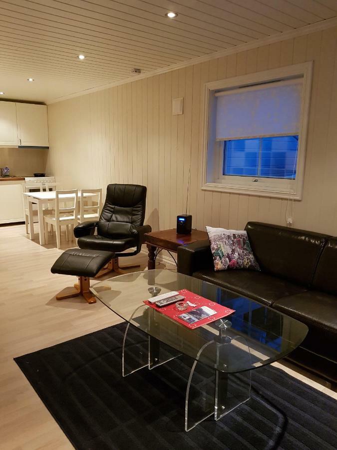 Odlandsvegen Basement Apartment Roldal Bagian luar foto